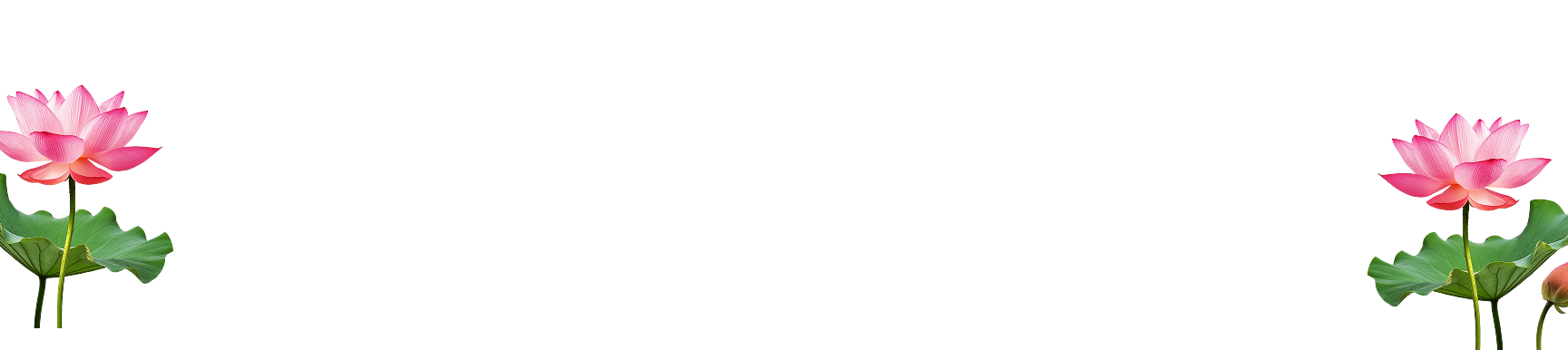 /learn/assets/images/bner-de.png