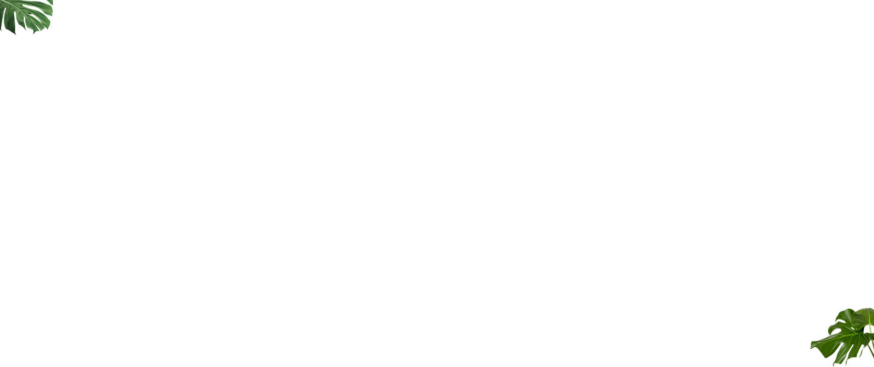 /learn/assets/images/bner-top.png