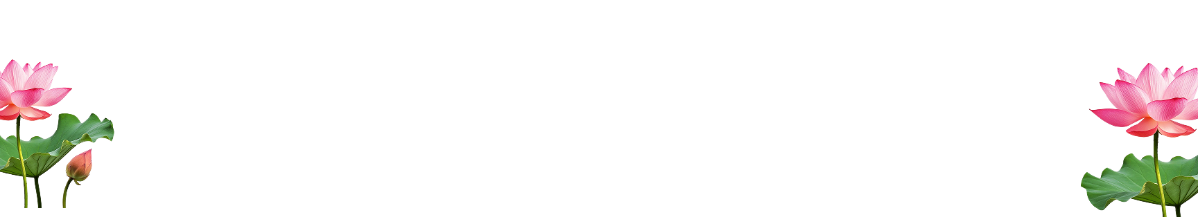 intro-de-2.png