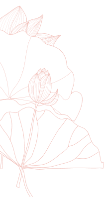 /learn/assets/images/wo-dc-1.png