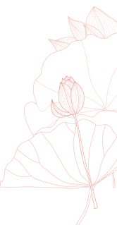 /learn/assets/images/wo-dc-2.png